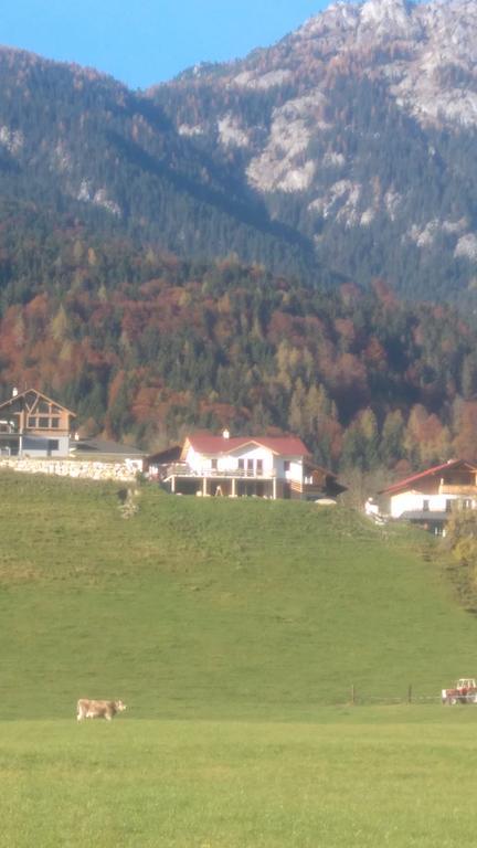 Ferienwohnung Sunnseitn Гаус-ім-Енншталь Екстер'єр фото